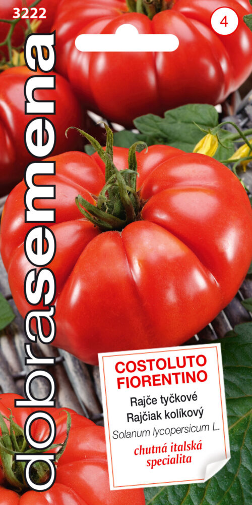 Dobrá semena Rajče tyč. - Costoluto Fiorentino 50s - Obrázek 1