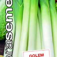 Dobrá semena Pór letní - Golem 1g