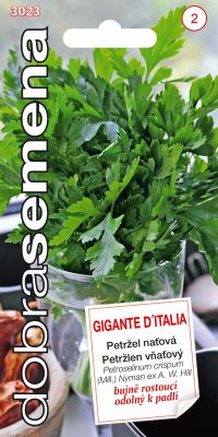 Dobrá semena Petržel naťová - Gigante D´Italia hladká 4g