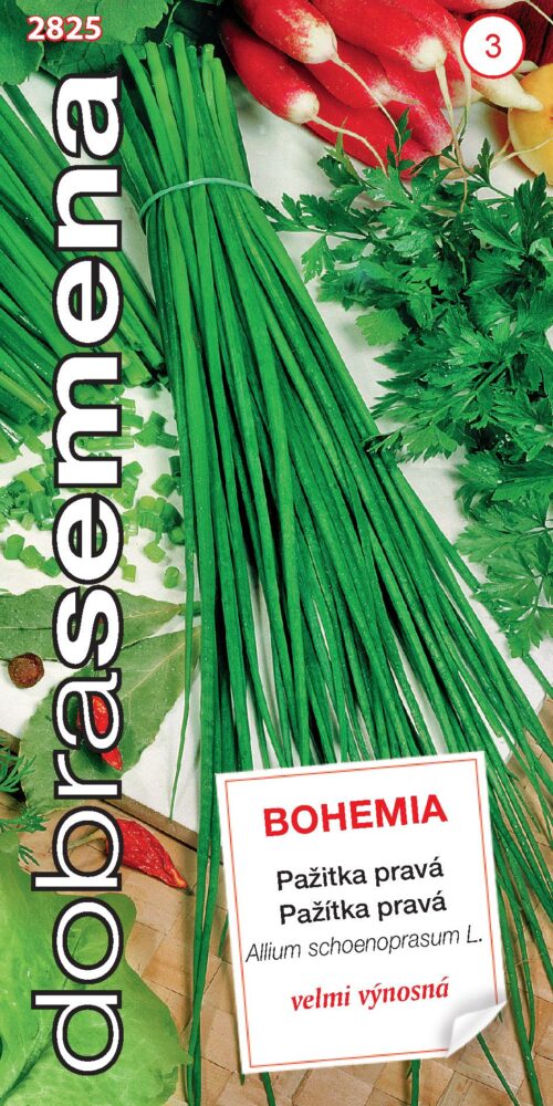 Dobrá semena Pažitka - Bohemia 2g - Obrázek 1