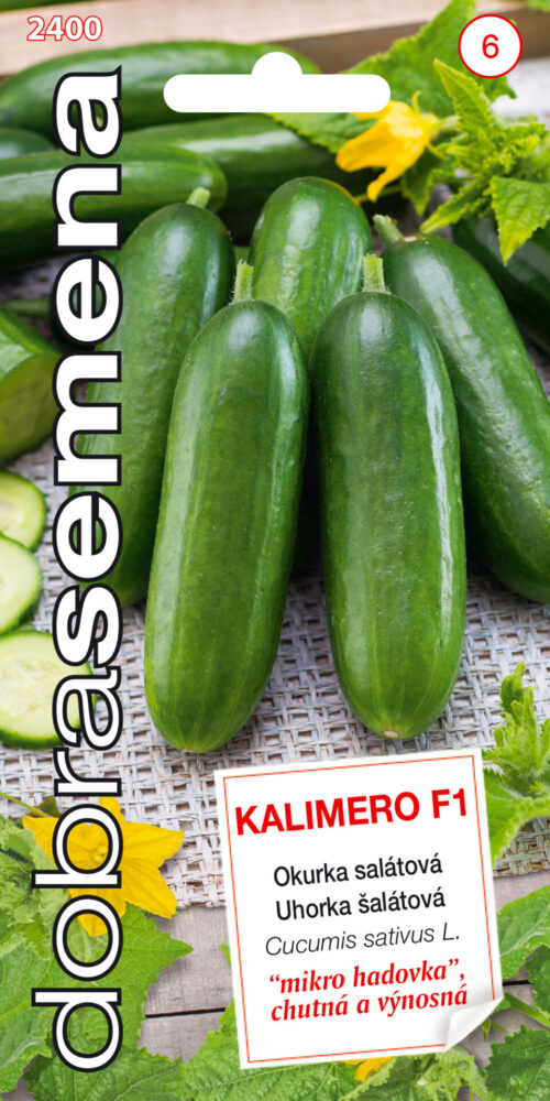 Dobrá semena Okurka sklen. - Kalimero F1 MIKRO 10s - Obrázek 1
