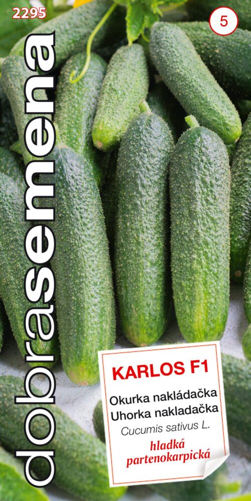 Dobrá semena Okurka nakl. - Karlos F1 partenokarpická hu 1,2g - Obrázek 1