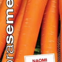 Dobrá semena Mrkev karotka - Naomi raná 3g