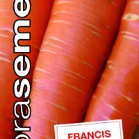 Dobrá semena Mrkev - Francis pozdní 3g