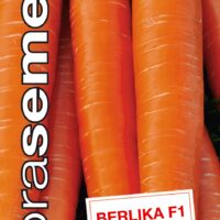 Dobrá semena Mrkev - Berlika F1 poloraná 1,3g