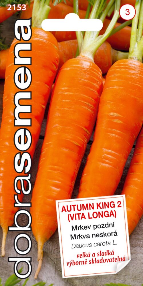 Dobrá semena Mrkev - Autumn King 2 (Vita Longa) pozdní 3g - Obrázek 1