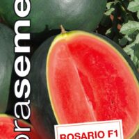Dobrá semena Meloun vodní - Rosario F1 10s
