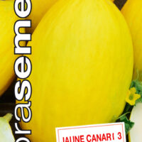 Dobrá semena Meloun cukrový   Jaune Canari 3 20s