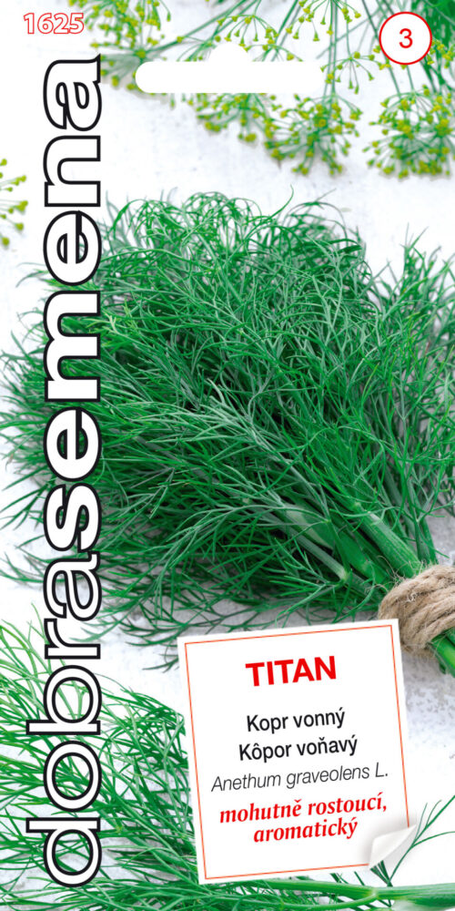 Dobrá semena Kopr vonný - Titan 4g - Image 1