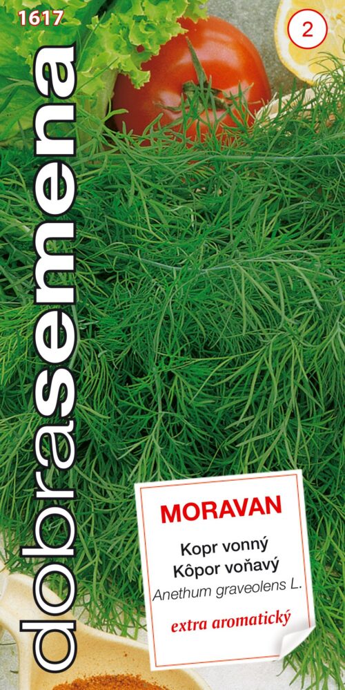 Dobrá semena Kopr vonný - Moravan 3g - Obrázek 1
