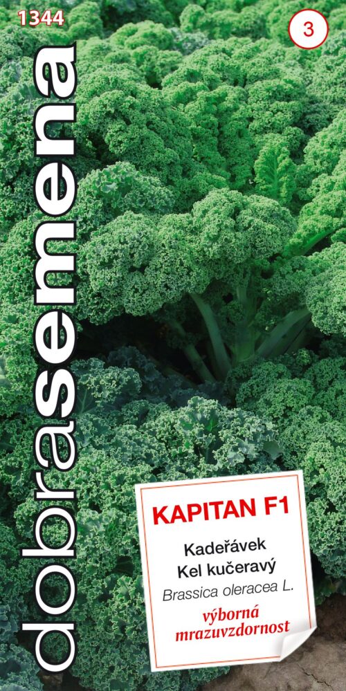 Dobrá semena Kadeřávek - Kapitan F1 30s - Obrázek 1