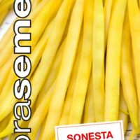 Dobrá semena Fazol keříčkový - Sonesta 10g