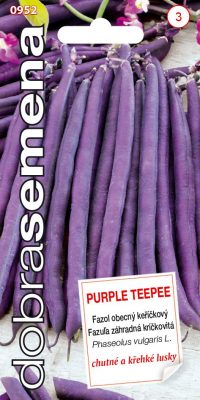 Dobrá semena Fazol keříčkový - Purple Teepee 10g