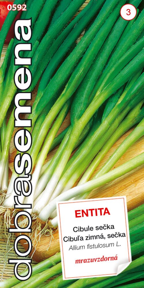 Dobrá semena Cibule sečka - Entita zimní 1,8g - Image 1