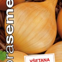 Dobrá semena Cibule jarní - Všetana žlutá 2g