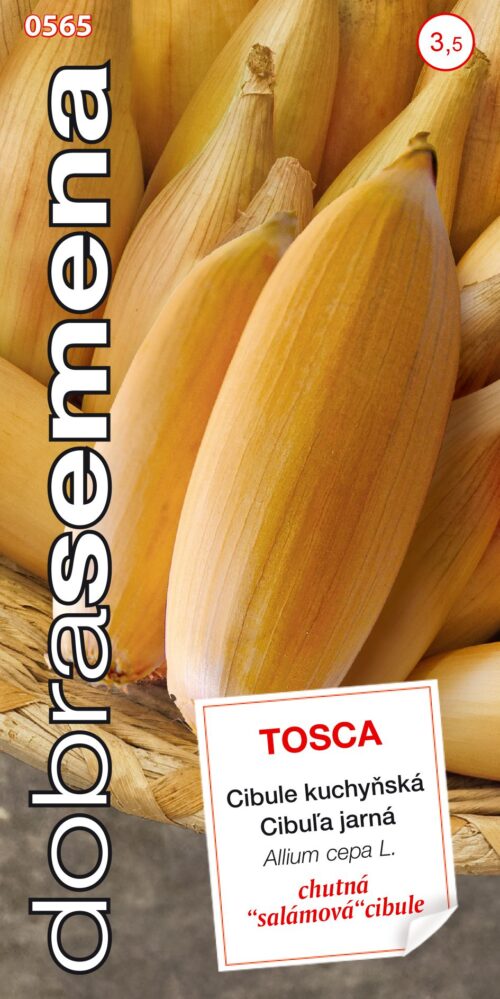Dobrá semena Cibule jarní - Tosca žlutá, oválná 1g - Obrázek 1