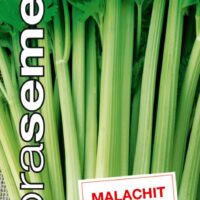 Dobrá semena Celer řapíkatý - Malachit 0,25g