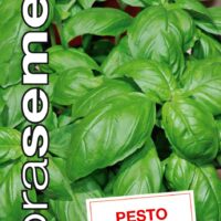 Dobrá semena Bazalka pravá - Pesto, typ Genovese 0,3g