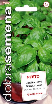 Dobrá semena Bazalka pravá - Pesto, typ Genovese 0,3g