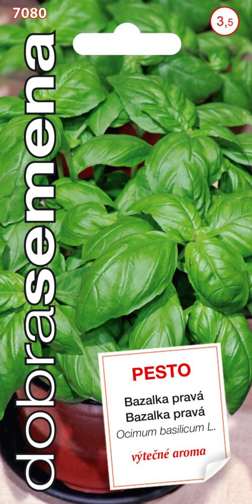 Dobrá semena Bazalka pravá - Pesto, typ Genovese 0,3g - Obrázek 1