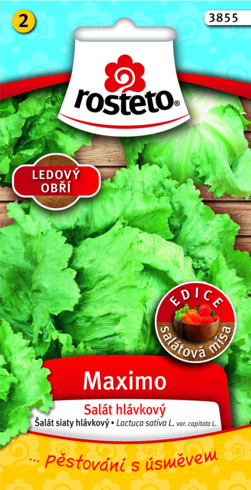 ROSTETO - Salát Maximo - ledový polní velký 0,5g - Image 1