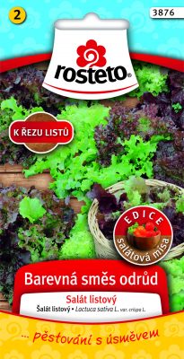ROSTETO - Salát Barevná směs odrůd -  kadeřavý k řezu 0,8g