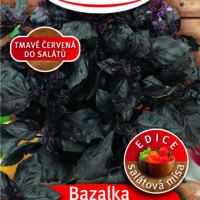 ROSTETO - Bazalka Purple Opaal - pravá 1g