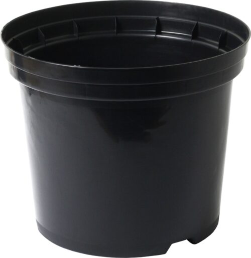Kontejner 21 cm, 4 l - Image 1