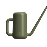 Konvička Pilea zelená