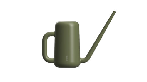 Konvička Pilea zelená - Obrázek 1