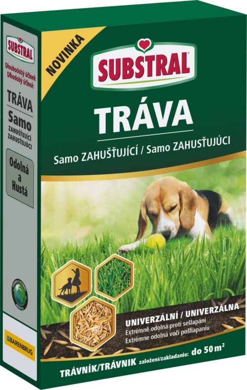 Travní směs samozahušťující - Univerzální 1 kg EVERGREEN - Obrázek 1