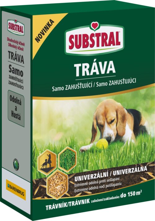 Travní směs samozahušťující - Univerzální 3 kg EVERGREEN - Obrázek 1