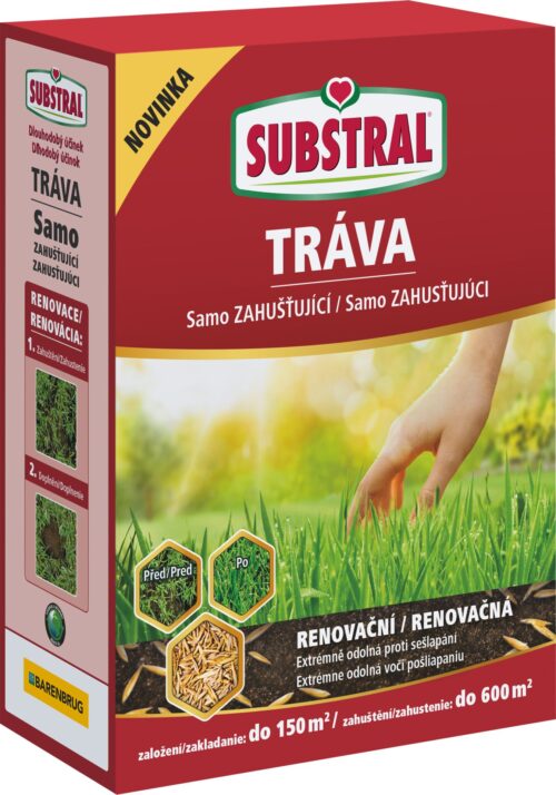 Travní směs samozahušťující - Renovační 3 kg EVERGREEN - Obrázek 1