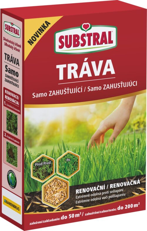 Travní směs samozahušťující - Renovační 1 kg EVERGREEN - Obrázek 1