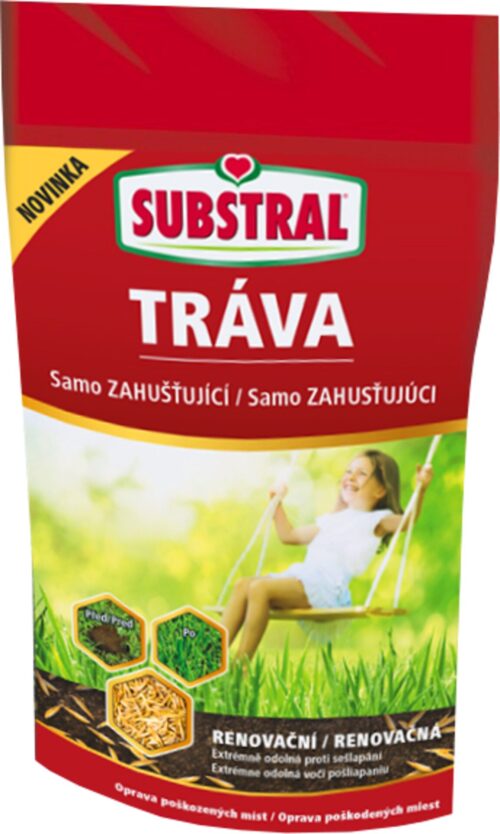 Travní směs samozahušťující - Renovační 250 g EVERGREEN - Obrázek 1