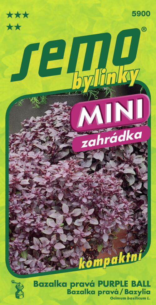 Bazalka pravá - Purple Ball 20s. - série MINI - Image 1