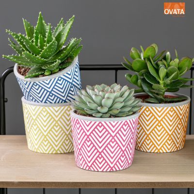 SUCCULENT Ibiza mix P14 - barevná keramika