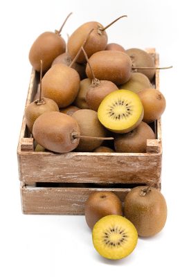 Actinidia deliciosa 'Atlas' - samčí