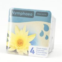 Nymphaea (Leknín) v koši žlutý