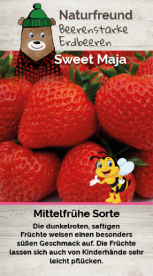 Jahodník 'Sweet Maja'