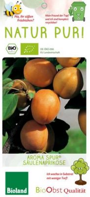 Meruňka sloupovitá 'Aroma Spur'®