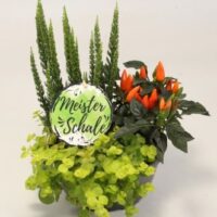 Mísa osázená 'Autumn Friends'