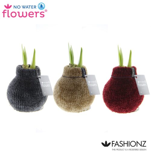 Amarylka ve vosku_WAXZ® - Fashionz Cozy Teddy-MIX - Obrázek 1