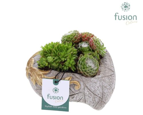 DEKORACE - SMUTEČNÍ FLORISTIKA SRDCE - Obrázek 1