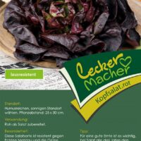 Salát hlávkový červený, resistentní – cena za ks