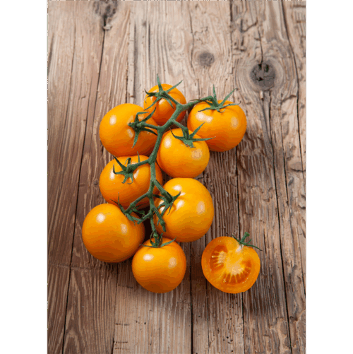 Roubované rajče Starlias® F1 Orange Bolzano - Obrázek 1