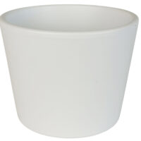 Obal 811 primule White mat 11 cm