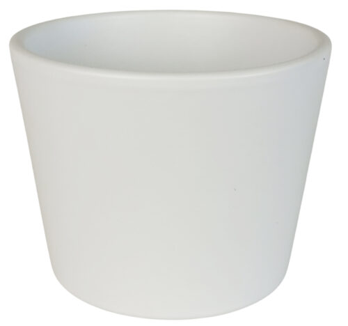 Obal 811 primule White mat 11 cm - Obrázek 1