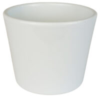 Obal 811 primule White lesk 11 cm