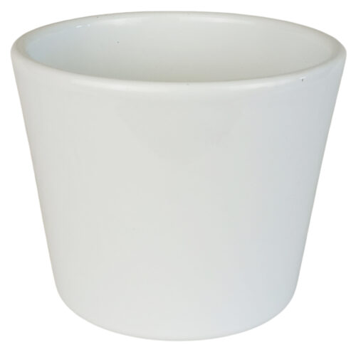 Obal 811 primule White lesk 11 cm - Obrázek 1